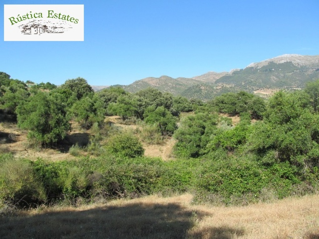 Foto parcela en venta en cortes de la frontera málaga