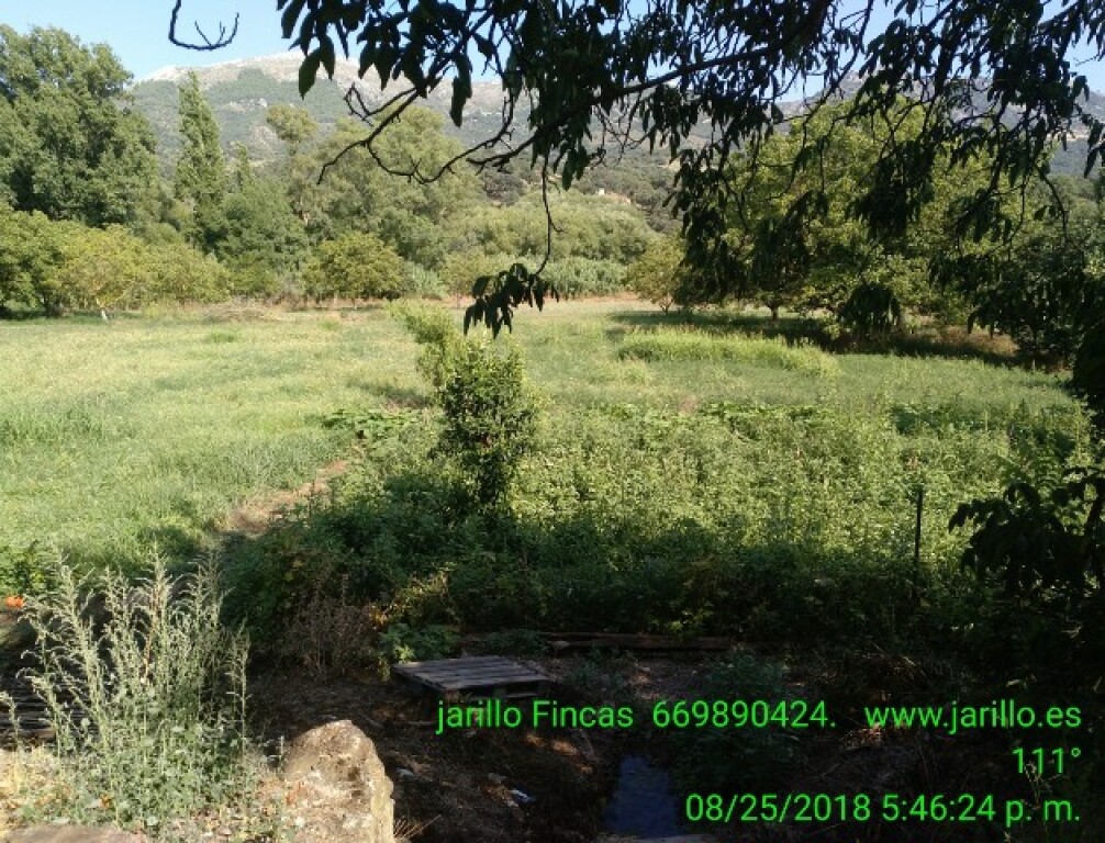 Chapa tejado  de segunda mano - Casa de campo-Masía en Venta en Cortes De La Frontera Málaga