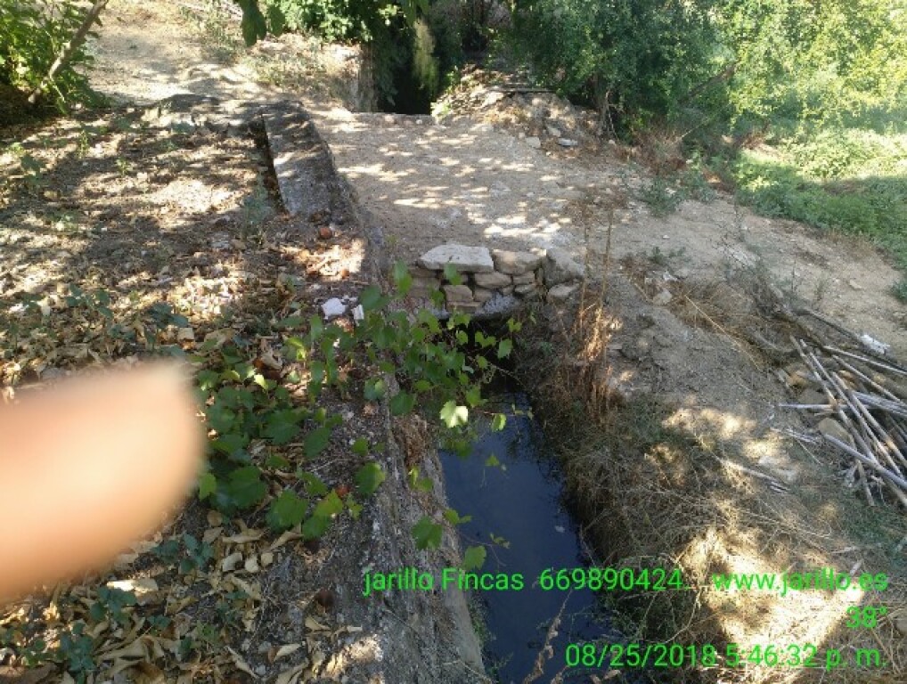 casa de campo-masía en venta en cortes de la frontera málaga foto grande (2)