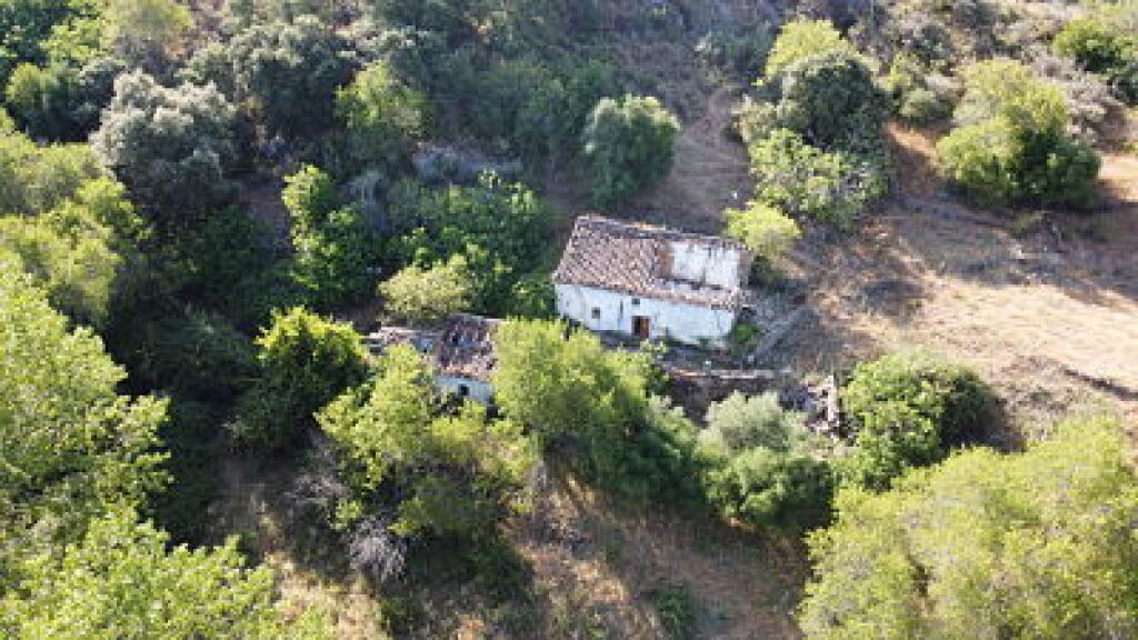 Foto suelo rústico en venta en algatocin málaga