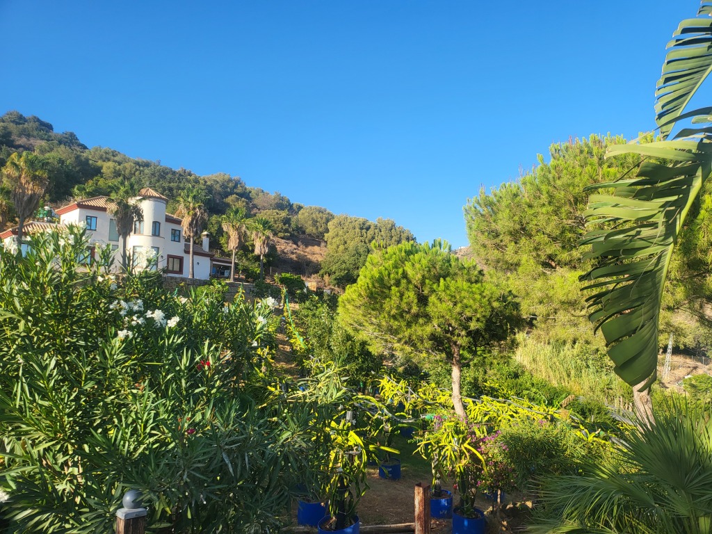 casa-chalet en venta en estepona málaga foto grande (2)