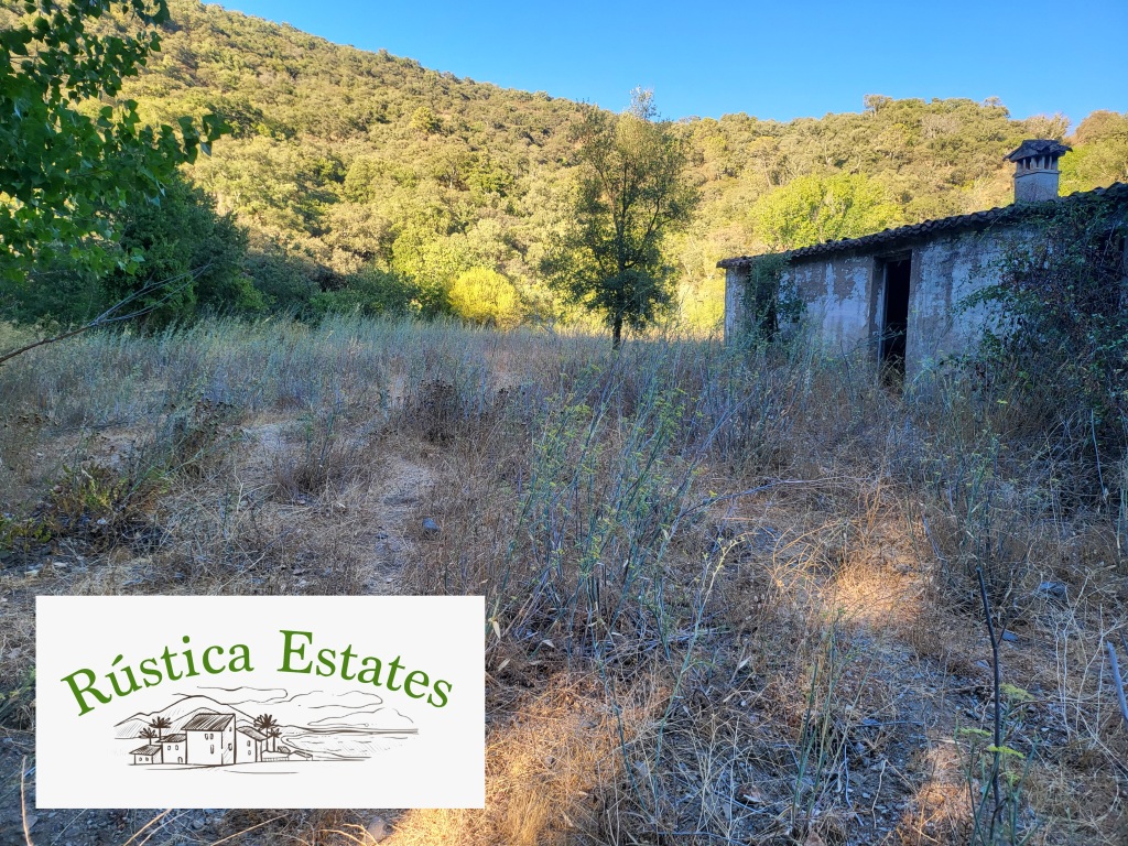 Foto casa de campo-masía en venta en farajan málaga