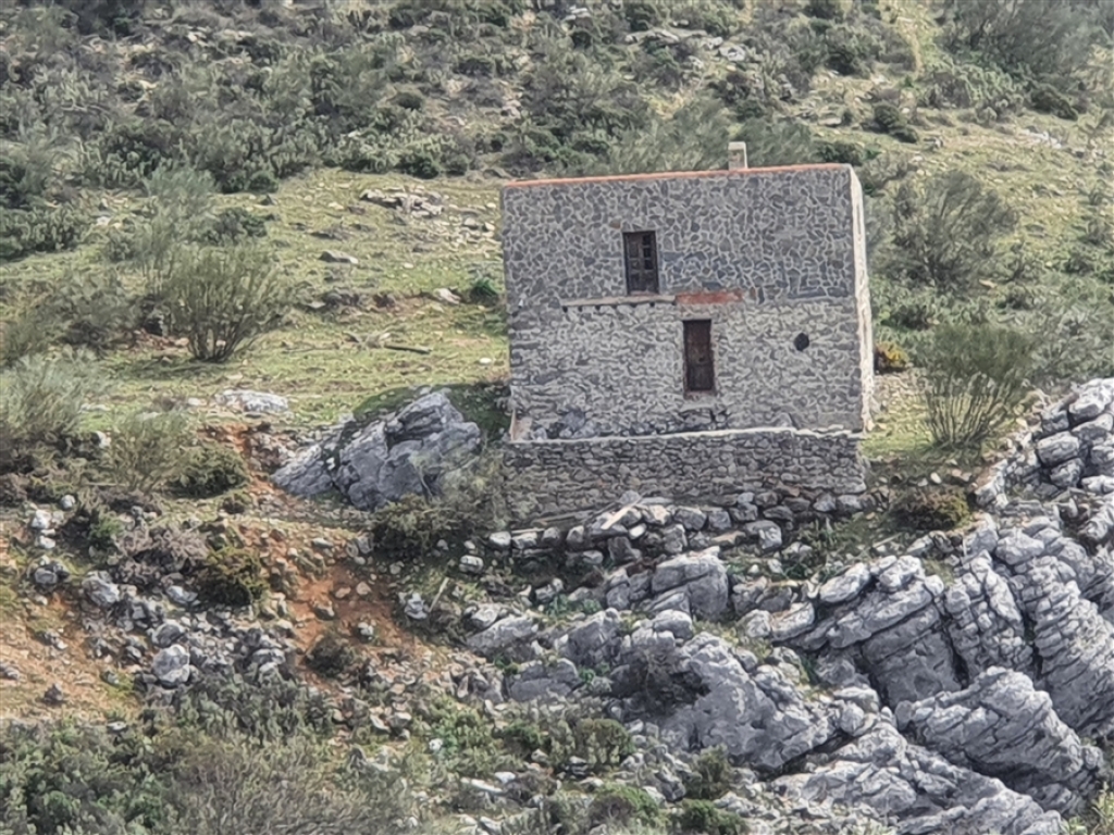 casa de campo-masía en venta en parauta málaga foto grande (2)