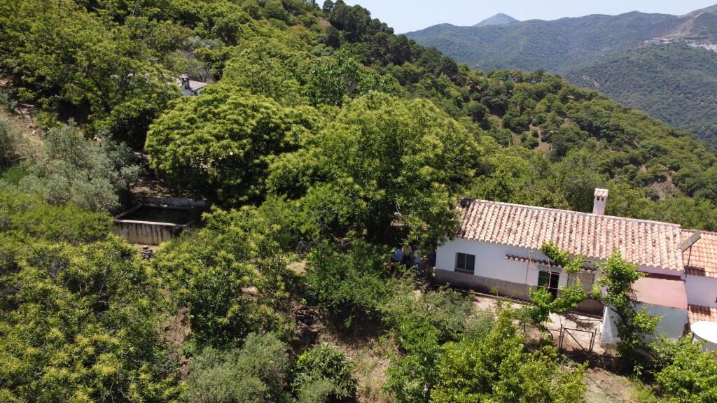 Foto casa de campo-masía en venta en genalguacil málaga