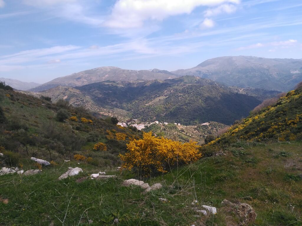 Foto parcela en venta en benalauria málaga