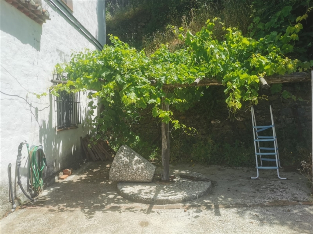 casa de campo-masía en venta en jubrique málaga foto grande (2)