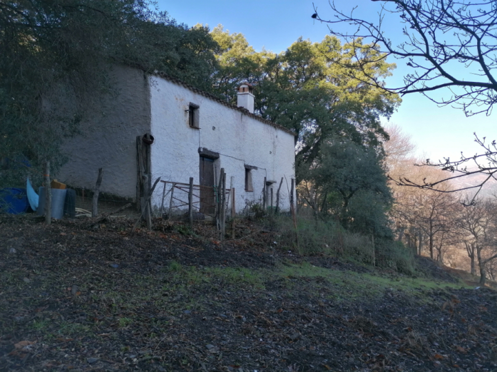 Foto casa de campo-masía en venta en farajan málaga