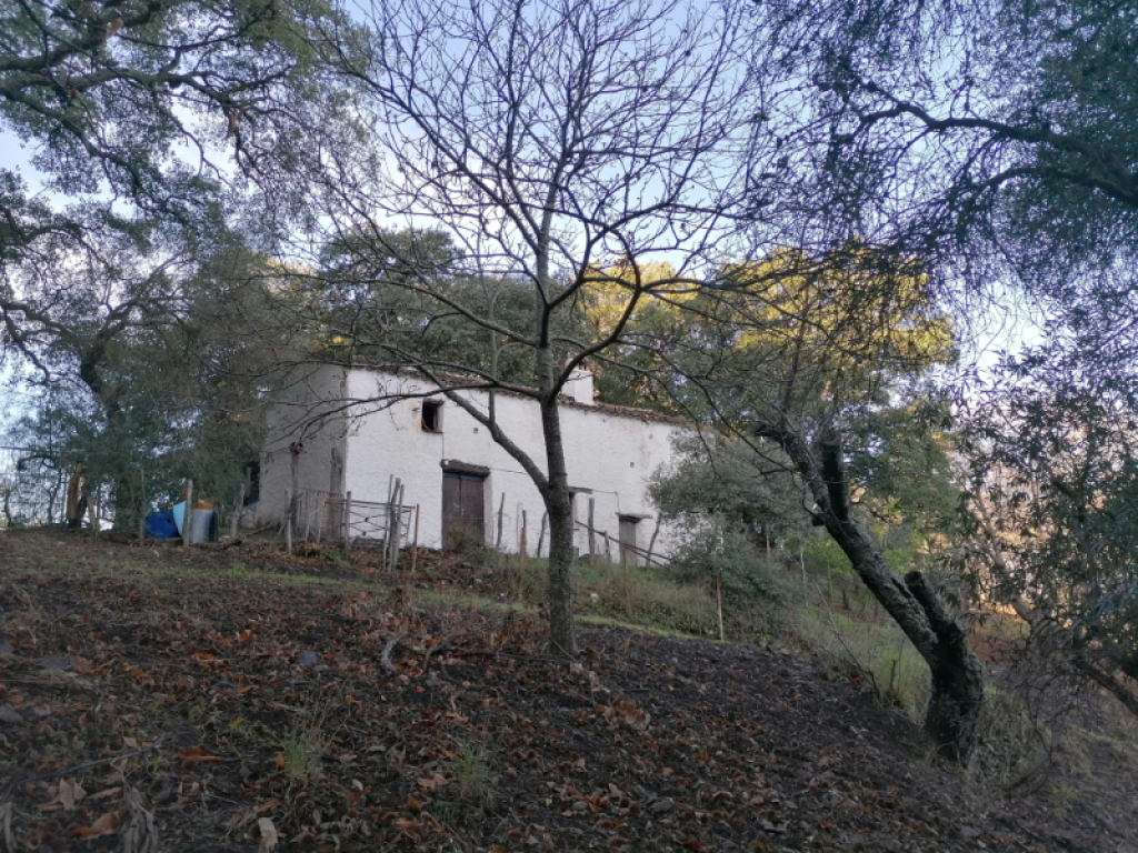 casa de campo-masía en venta en farajan málaga foto grande (2)