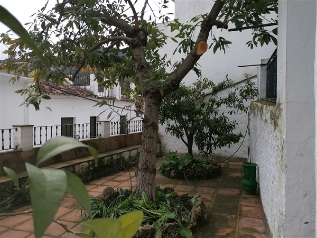 casa de pueblo en venta en benadalid málaga foto grande (3)