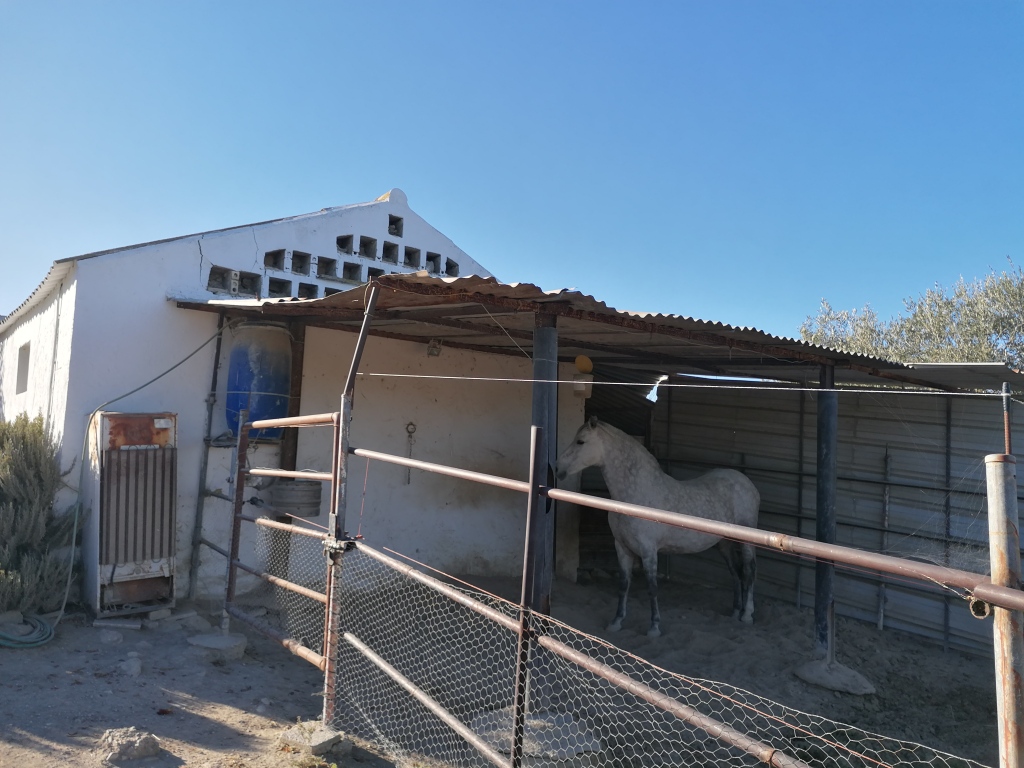 Casa de campo-Masía en Venta en Arcos De La Frontera Cádiz 