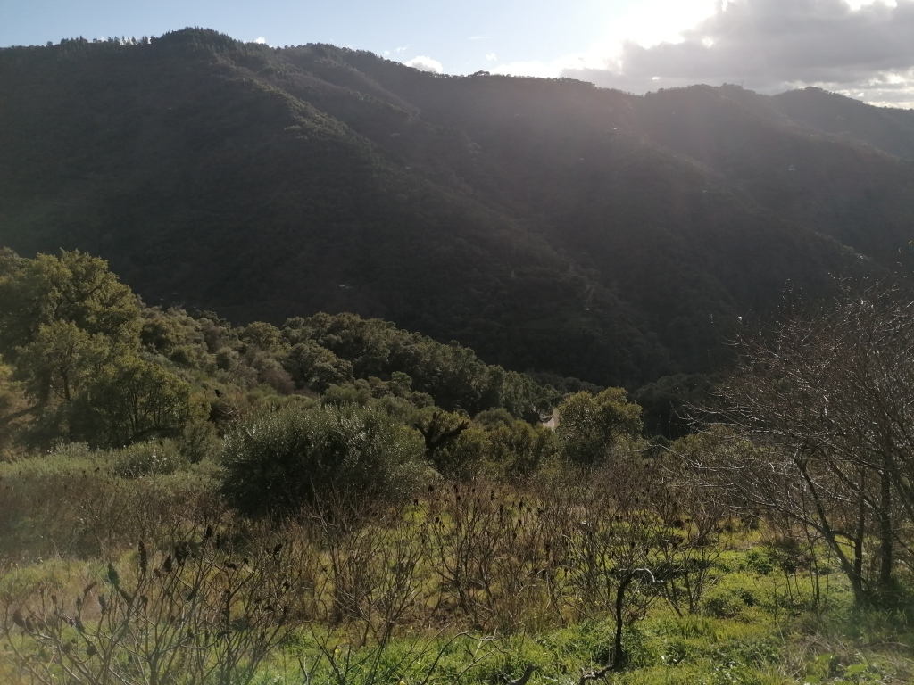 parcela en venta en jubrique málaga foto grande (3)