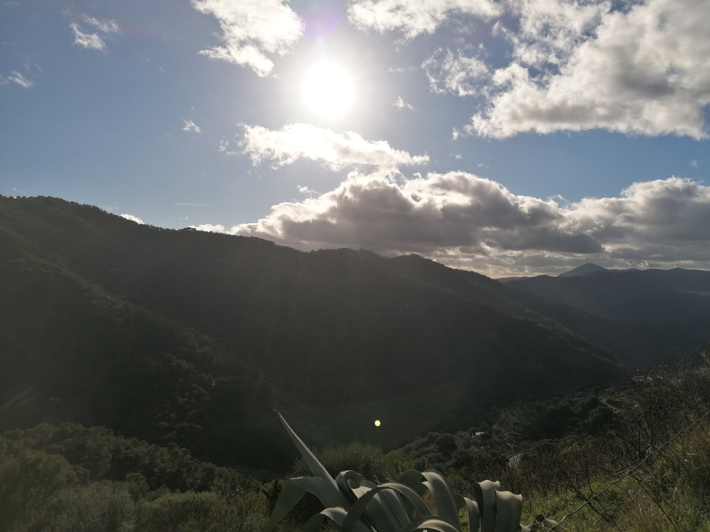 Foto parcela en venta en jubrique málaga