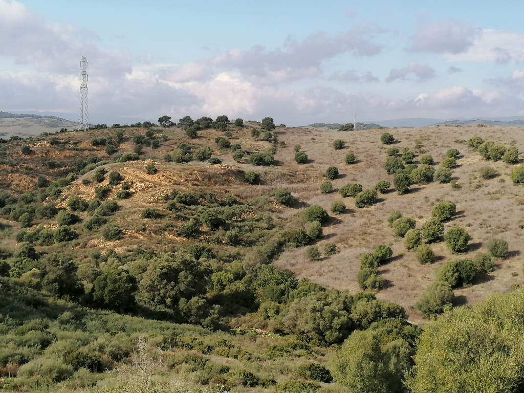 suelo rústico en venta en casares málaga foto grande (3)