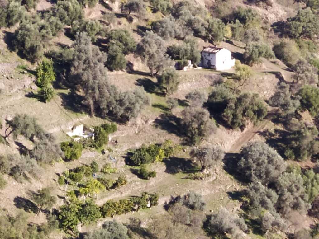 Foto casa de campo-masía en venta en genalguacil málaga
