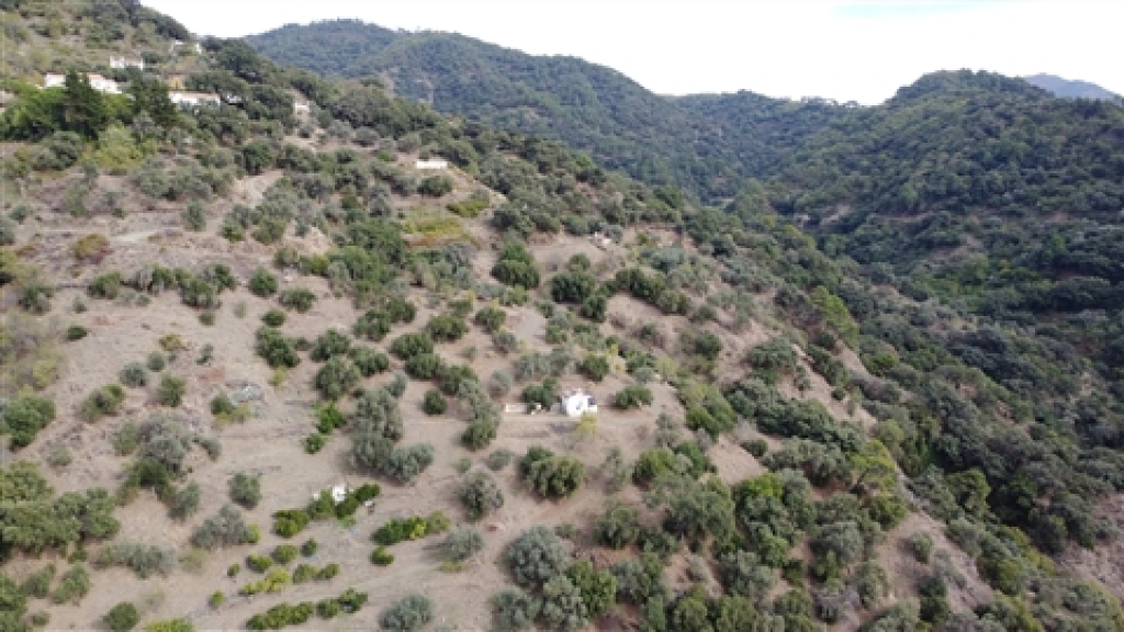 casa de campo-masía en venta en genalguacil málaga foto grande (3)