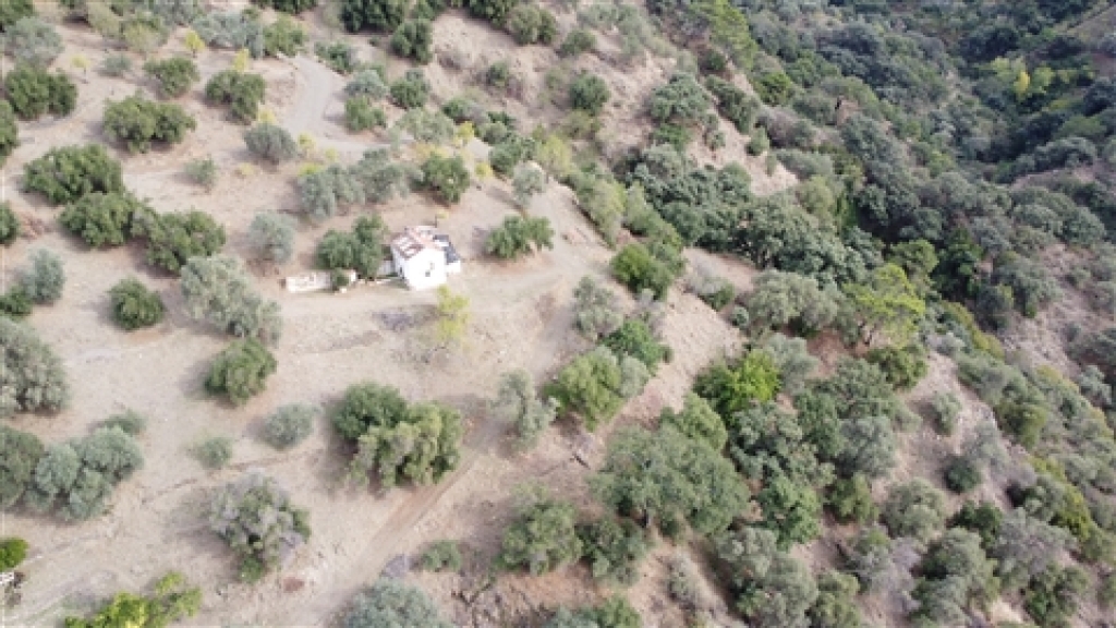 casa de campo-masía en venta en genalguacil málaga foto grande (2)