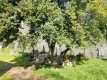 Foto8