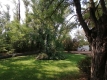 Foto8