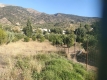 Foto7