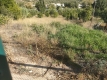 Foto8