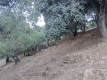 Foto52