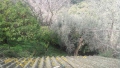 Foto11