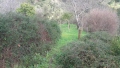 Foto12