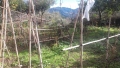 Foto7