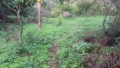 Foto8
