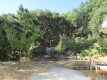 Foto12