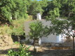Foto5