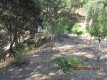 Foto14