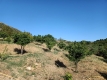 Foto19