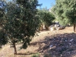 Foto4