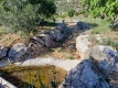 Foto5