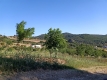 Foto8