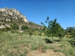 Foto9