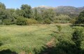 Foto5