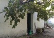 Foto8