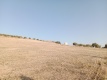 Foto24