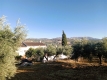 Foto1
