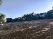 Foto11