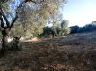 Foto12