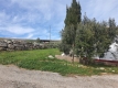 Foto20