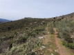 Foto16