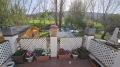 Foto12