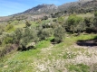 Foto17