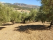Foto8