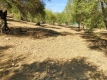 Foto10