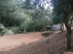 Foto33